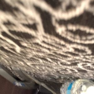 Meet your Posher, Janice